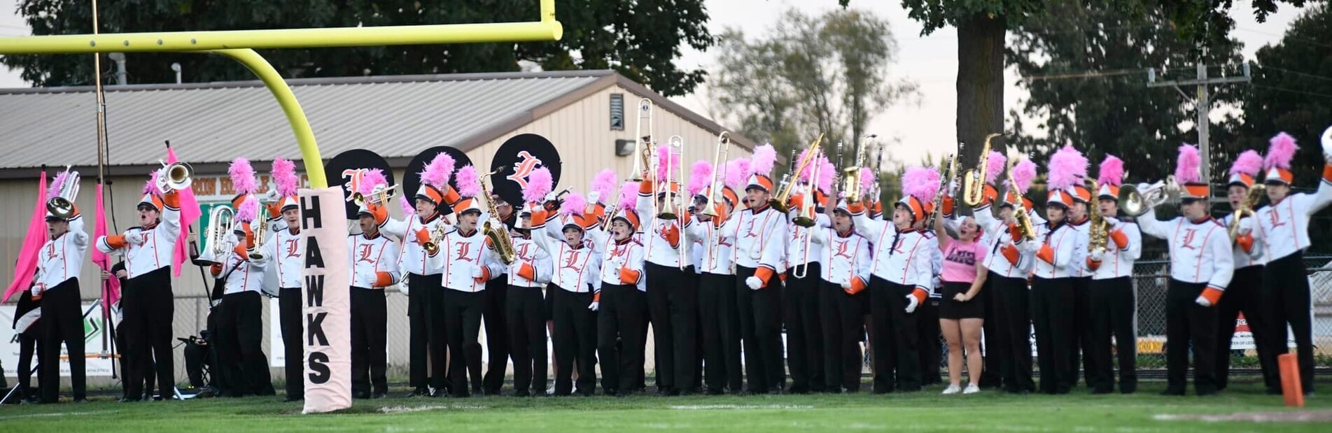 PinkHawkBand2